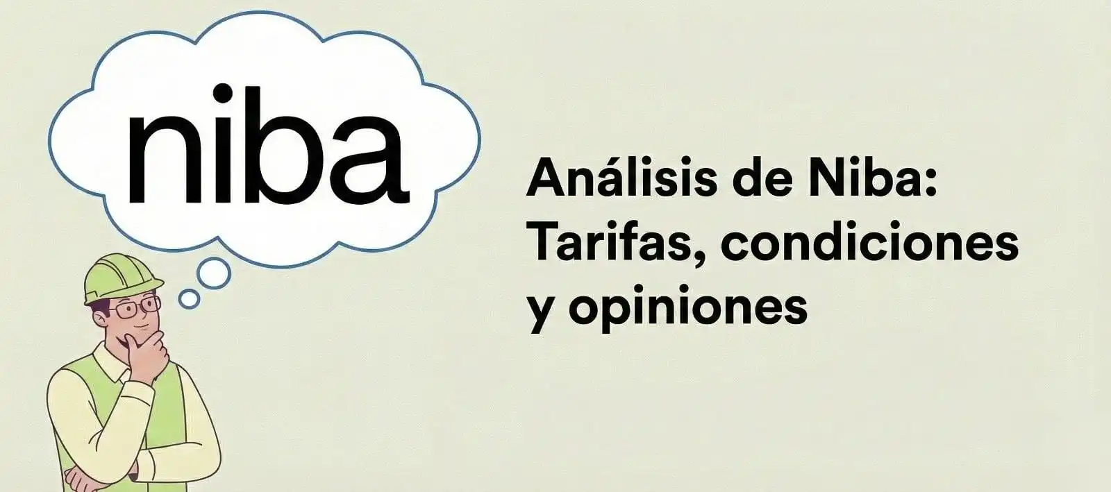 Niba comercializadora análisis